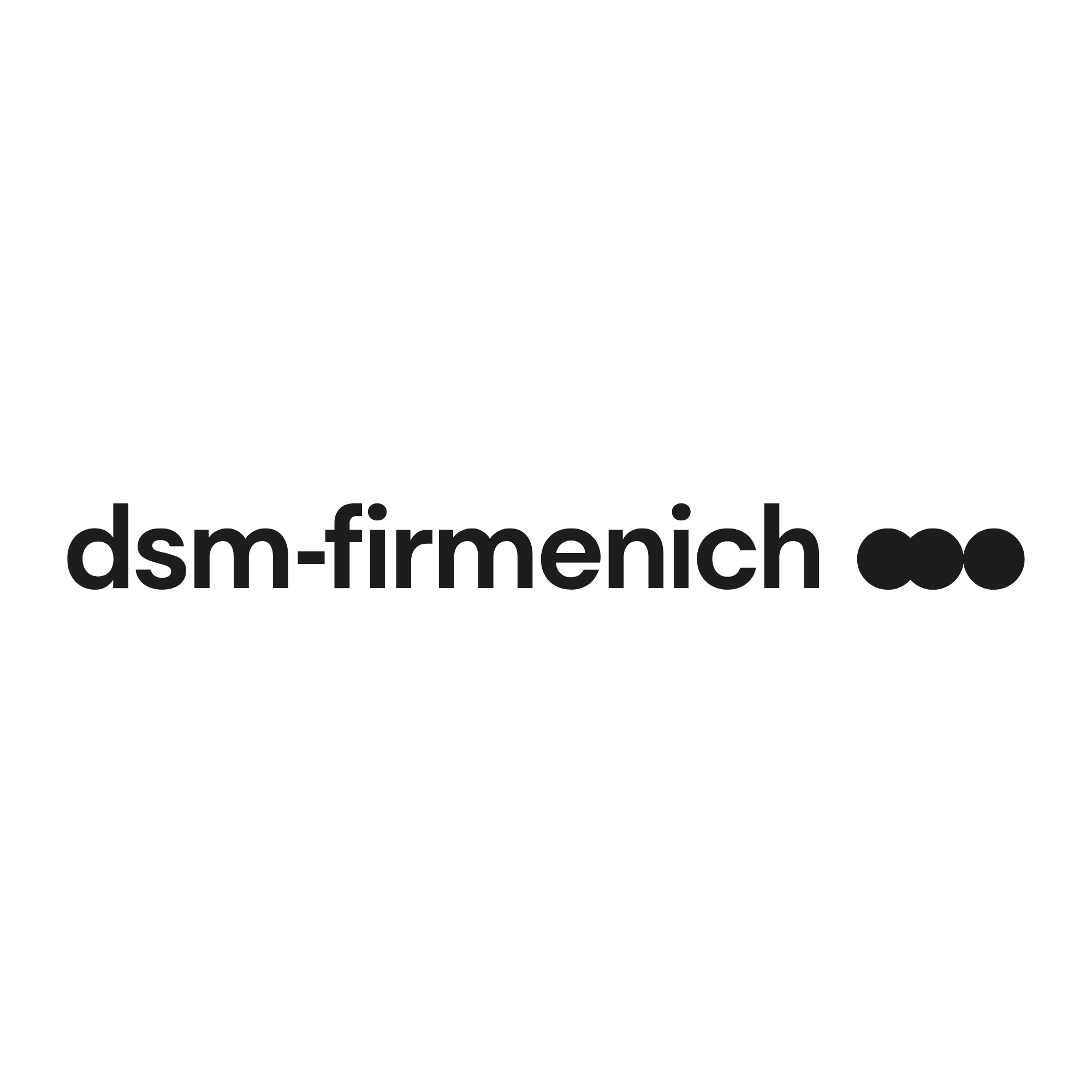 DSM Logo
